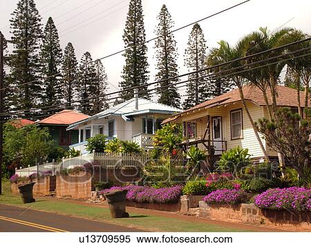 Lanai, HI, Hawaii, Lanai City, downtown View Large Photo Image Stock Photography - Lanai, HI, Hawaii, Lanai City, downtown. Fotosearch
