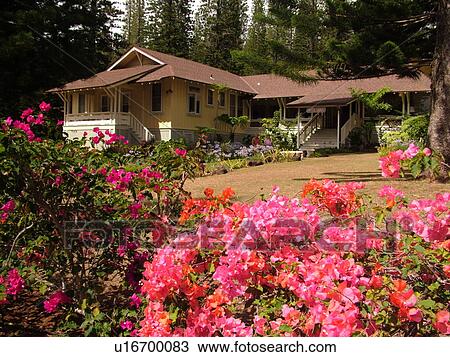 Stock Image -  Lanai, HI, Hawaii, Lanai City, Hotel Lanai. Fotosearch