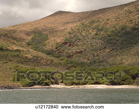 Stock Image -  Lanai, HI, Hawaii, Lanai Island . Fotosearch