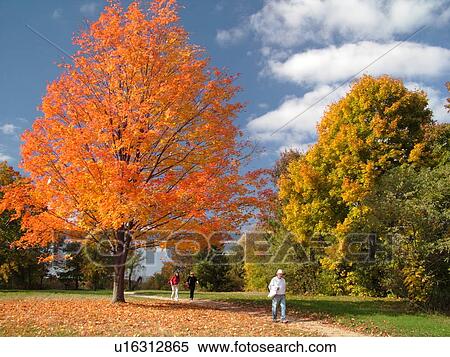 Lexington, Concord, MA, Massachusetts, Minute Man National Historical Park View Large Photo Image Stock Photography - Lexington, Concord, MA, Massachusetts, Minute Man National Historical Park. Fotosearch