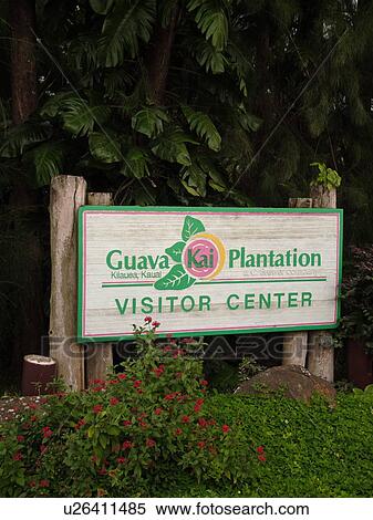 Lilauea, Kauai, HI, Hawaii, North Shore, Guava Kai Plantation, entrance sign View Large Photo Image Stock Photography - Lilauea, Kauai, HI, Hawaii, North Shore, Guava Kai Plantation, entrance sign. Fotosearch