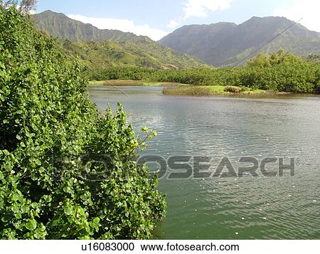 Stock Image -  Lumahai, Princeville, Kauai, HI, Hawaii, North Shore, Lumahai River, Lumahai Valley. Fotosearch
