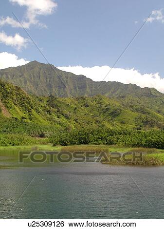 Stock Photograph -  Lumahai, Princeville, Kauai, HI, Hawaii, North Shore, Lumahai River, Lumahai Valley. Fotosearch