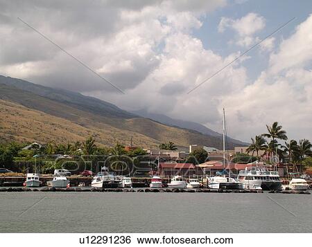 Maalaea, Maui, HI, Hawaii, Maalaea Bay, Maalaea Small Boat Harbor, marina View Large Photo Image Stock Photograph - Maalaea, Maui, HI, Hawaii, Maalaea Bay, Maalaea Small Boat Harbor, marina. Fotosearch