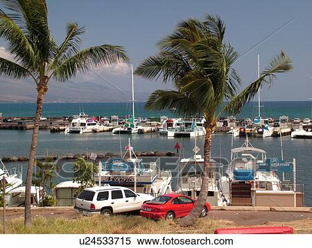 Maalaea, Maui, HI, Hawaii, Maalaea Bay, Maalaea Small Boat Harbor, marina View Large Photo Image Stock Photography - Maalaea, Maui, HI, Hawaii, Maalaea Bay, Maalaea Small Boat Harbor, marina. Fotosearch