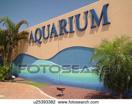 Stock Image -  Maalaea, Maui, HI, Hawaii, Maui Ocean Center, Aquarium, Marine Center. Fotosearch