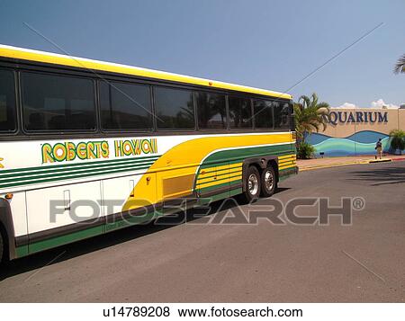 Maalaea, Maui, HI, Hawaii, Maui Ocean Center, Aquarium, Marine Center, tour bus View Large Photo Image Stock Photo - Maalaea, Maui, HI, Hawaii, Maui Ocean Center, Aquarium, Marine Center, tour bus. Fotosearch