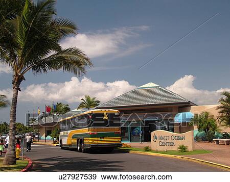 Stock Photo -  Maalaea, Maui, HI, Hawaii, Maui Ocean Center, Aquarium, Marine Center. Fotosearch