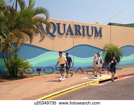 Maalaea, Maui, HI, Hawaii, Maui Ocean Center, Aquarium, Marine Center View Large Photo Image Stock Photography - Maalaea, Maui, HI, Hawaii, Maui Ocean Center, Aquarium, Marine Center. Fotosearch
