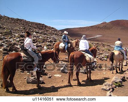 Stock Image -  Maui, HI, Hawaii, Haleakala National Park, horseback riding on the volcano. Fotosearch