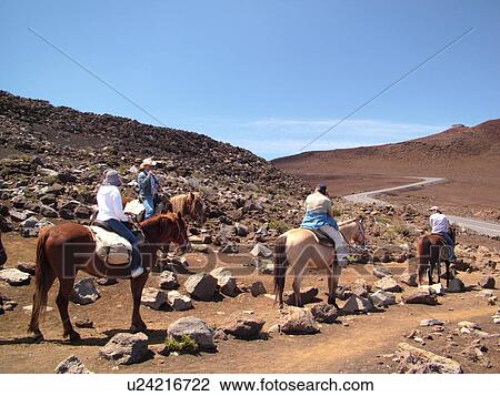 Stock Image -  Maui, HI, Hawaii, Haleakala National Park, horseback riding on the volcano. Fotosearch