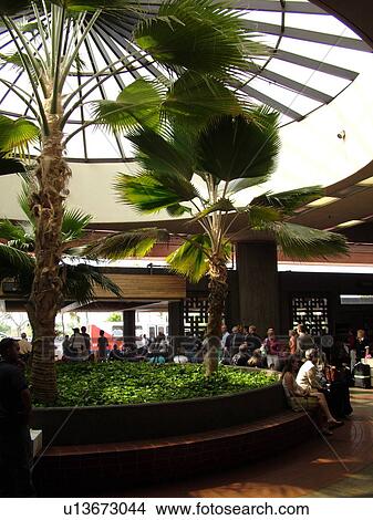 Picture -  Maui, HI, Hawaii, Kahului Airport. Fotosearch