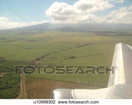 Stock Image -  Maui, HI, Hawaii, The Valley, sugar cane fields, aerial. Fotosearch