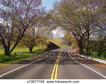 Maui, HI, Hawaii, Upcountry, Haleakala Highway View Large Photo Image Stock Photography - Maui, HI, Hawaii, Upcountry, Haleakala Highway. Fotosearch