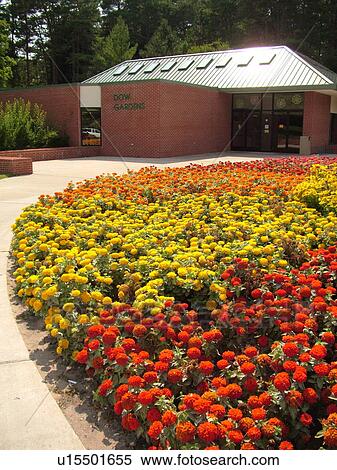 Stock Photography -  Midland, MI, Michigan, Dow Gardens, Dow Chemical Company. Fotosearch