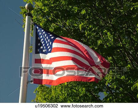 Montpelier, VT, Vermont, American Flag, flag pole View Large Photo Image Stock Image - Montpelier, VT, Vermont, American Flag, flag pole. Fotosearch