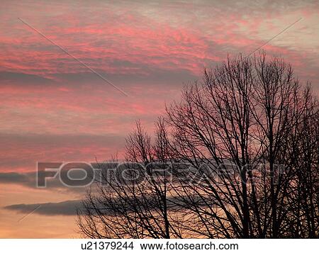 Picture -  Montpelier, VT, Vermont, clouds, Cirrocumulus Undulatus, sunrise, sunset. Fotosearch