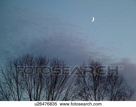 Montpelier, VT, Vermont, clouds, sky, trees, crescent moon View Large Photo Image Stock Photography - Montpelier, VT, Vermont, clouds, sky, trees, crescent moon. Fotosearch