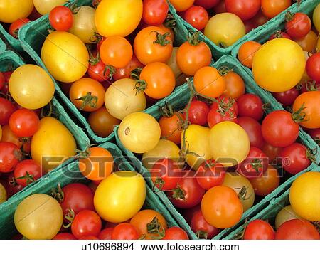 Montpelier, VT, Vermont, Farmer's Market, Tomatoes View Large Photo Image Picture - Montpelier, VT, Vermont, Farmer's Market, Tomatoes. Fotosearch