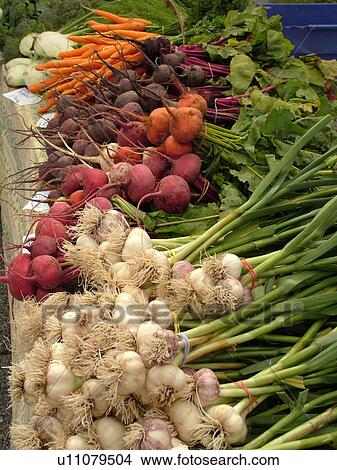 Montpelier, VT, Vermont, Farmer's Market, Fresh Vegetables View Large Photo Image Picture - Montpelier, VT, Vermont, Farmer's Market, Fresh Vegetables. Fotosearch