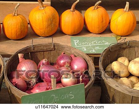 Picture -  Montpelier, VT, Vermont, Farmer's Market, Pumpkins, Onions, Potatoes. Fotosearch