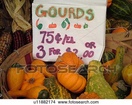 Montpelier, VT, Vermont, Farmer's Market, Gourds View Large Photo Image Picture - Montpelier, VT, Vermont, Farmer's Market, Gourds. Fotosearch