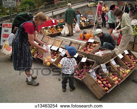 Picture -  Montpelier, VT, Vermont, Farmer's Market, apples. Fotosearch