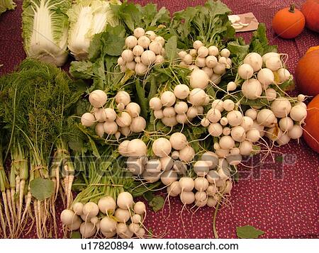 Picture -  Montpelier, VT, Vermont, Farmer's Market, Scallions. Fotosearch