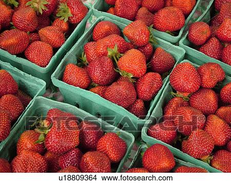 Montpelier, VT, Vermont, Farmer's Market, strawberries View Large Photo Image Picture - Montpelier, VT, Vermont, Farmer's Market, strawberries. Fotosearch