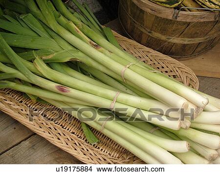 Montpelier, VT, Vermont, Farmer's Market, Leeks View Large Photo Image Picture - Montpelier, VT, Vermont, Farmer's Market, Leeks. Fotosearch