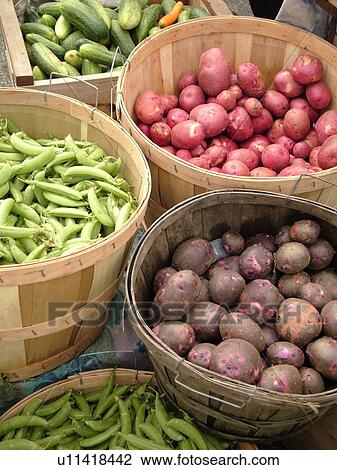 Montpelier, VT, Vermont, Farmer's Market, Potatoes, Shell Peas, Sugar Snap Peas View Large Photo Image Stock Image - Montpelier, VT, Vermont, Farmer's Market, Potatoes, Shell Peas, Sugar Snap Peas. Fotosearch
