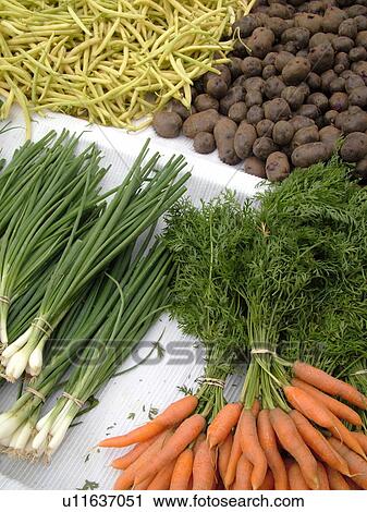 Montpelier, VT, Vermont, Farmer's Market, Potatoes, yellow wax beans, carrots, scallions View Large Photo Image Stock Image - Montpelier, VT, Vermont, Farmer's Market, Potatoes, yellow wax beans, carrots, scallions. Fotosearch