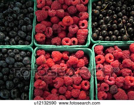 Stock Image -  Montpelier, VT, Vermont, Farmer's Market, Blueberries, Raspberries. Fotosearch