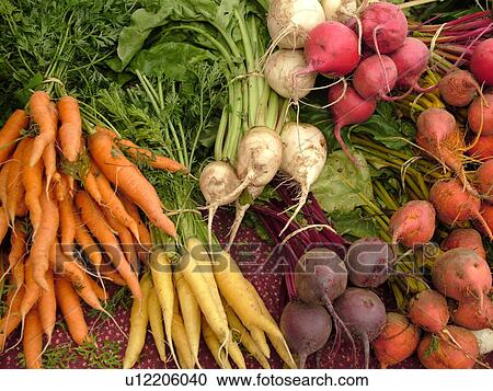 Stock Image -  Montpelier, VT, Vermont, Farmer's Market, beets, carrots, bunches. Fotosearch