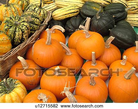 Montpelier, VT, Vermont, Farmer's Market, Pumpkins, Gourds View Large Photo Image Stock Image - Montpelier, VT, Vermont, Farmer's Market, Pumpkins, Gourds. Fotosearch