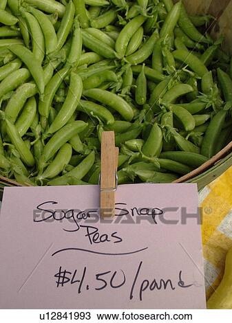 Montpelier, VT, Vermont, Farmer's Market, sugar snap peas View Large Photo Image Stock Image - Montpelier, VT, Vermont, Farmer's Market, sugar snap peas. Fotosearch