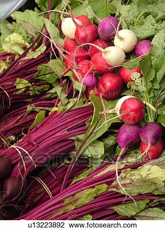 Montpelier, VT, Vermont, Farmer's Market, bread View Large Photo Image Stock Image - Montpelier, VT, Vermont, Farmer's Market, bread. Fotosearch