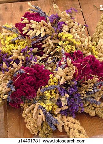 Montpelier, VT, Vermont, Farmer's Market, dried flowers View Large Photo Image Stock Image - Montpelier, VT, Vermont, Farmer's Market, dried flowers. Fotosearch