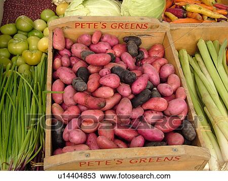 Stock Image -  Montpelier, VT, Vermont, Farmer's Market, Potatoes, Leeks, Scallions. Fotosearch