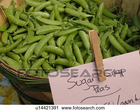 Montpelier, VT, Vermont, Farmer's Market, sugar snap peas View Large Photo Image Stock Image - Montpelier, VT, Vermont, Farmer's Market, sugar snap peas. Fotosearch