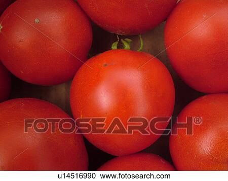 Stock Image -  Montpelier, VT, Vermont, Farmer's Market, tomatoes. Fotosearch