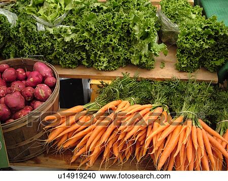 Stock Image -  Montpelier, VT, Vermont, Farmer's Market, carrots, bunches, Red Norland Potatoes, Green Leaf Lettuce. Fotosearch