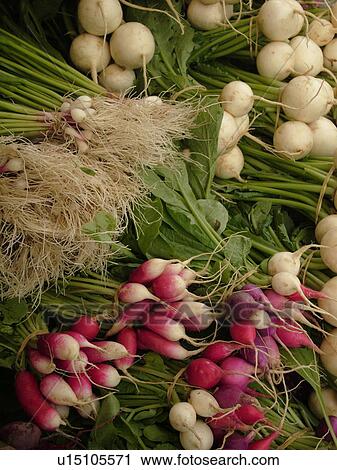 Stock Image -  Montpelier, VT, Vermont, Farmer's Market, radishes, scallions, turnips. Fotosearch