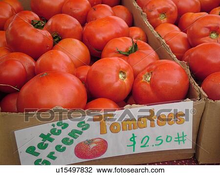 Montpelier, VT, Vermont, Farmer's Market, tomatoes View Large Photo Image Stock Image - Montpelier, VT, Vermont, Farmer's Market, tomatoes. Fotosearch