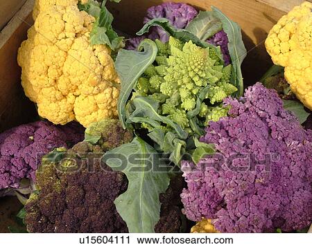 Stock Image -  Montpelier, VT, Vermont, Farmer's Market, Cauliflower. Fotosearch