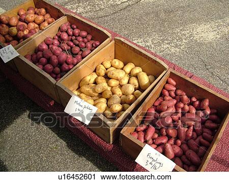 Montpelier, VT, Vermont, Farmer's Market, Potatoes View Large Photo Image Stock Image - Montpelier, VT, Vermont, Farmer's Market, Potatoes. Fotosearch
