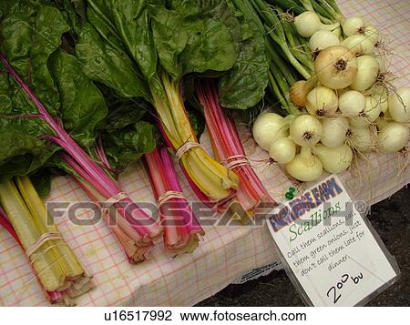 Stock Image -  Montpelier, VT, Vermont, Farmer's Market, Scallions, Rhubarb. Fotosearch