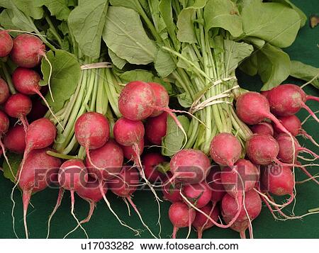 Stock Image -  Montpelier, VT, Vermont, Farmer's Market, radishes. Fotosearch