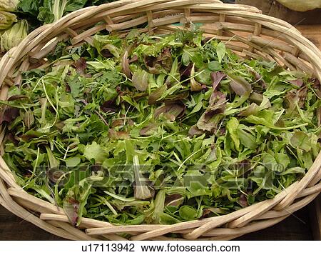 Stock Image -  Montpelier, VT, Vermont, Farmer's Market, lettuce, spring mix in a basket. Fotosearch