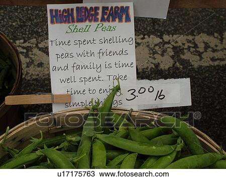 Montpelier, VT, Vermont, Farmer's Market, shell peas, sign Time spent shelling peas with friends and family is time well spent. Take time to enjoy simple things. View Large Photo Image Stock Image - Montpelier, VT, Vermont, Farmer's Market, shell peas, sign Time spent shelling peas with friends and family is time well spent. Take time to enjoy simple things.. Fotosearch